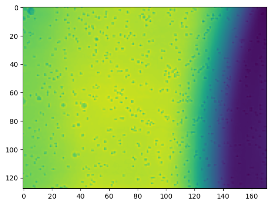 ../_images/notebooks_timelapse_brightfield_5_2.png