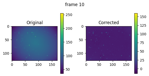 ../_images/notebooks_timelapse_nanog_17_2.png