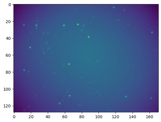 ../_images/notebooks_timelapse_nanog_5_2.png